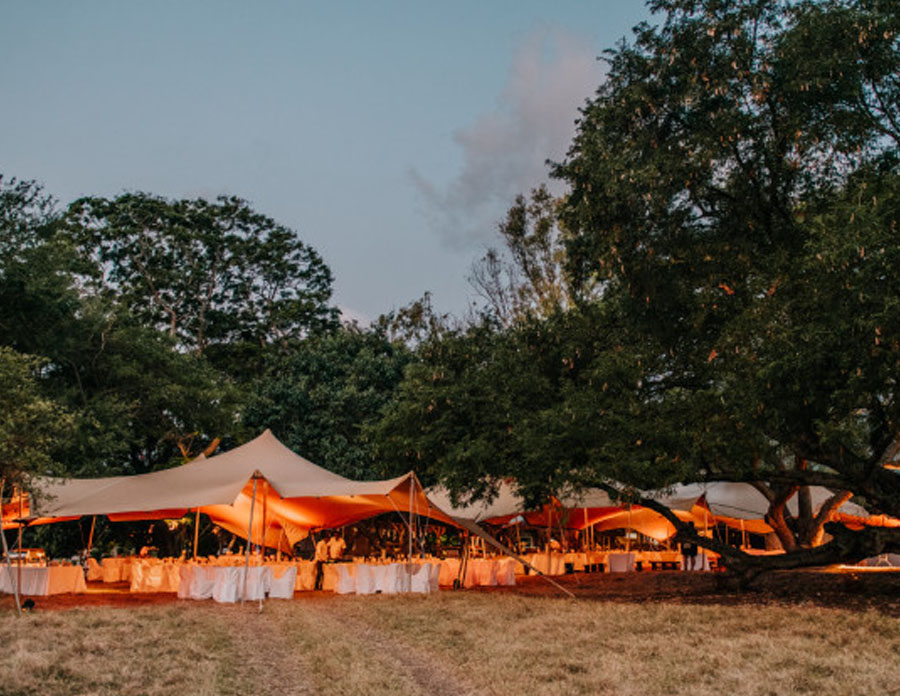 Chassée de Case Noyale