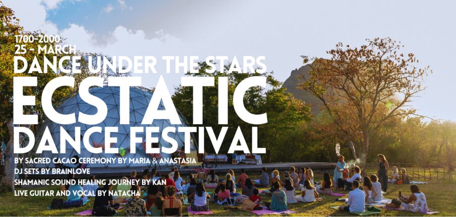 DANCE UNDER THE STARS – Ecstatic Dance Festival slider image