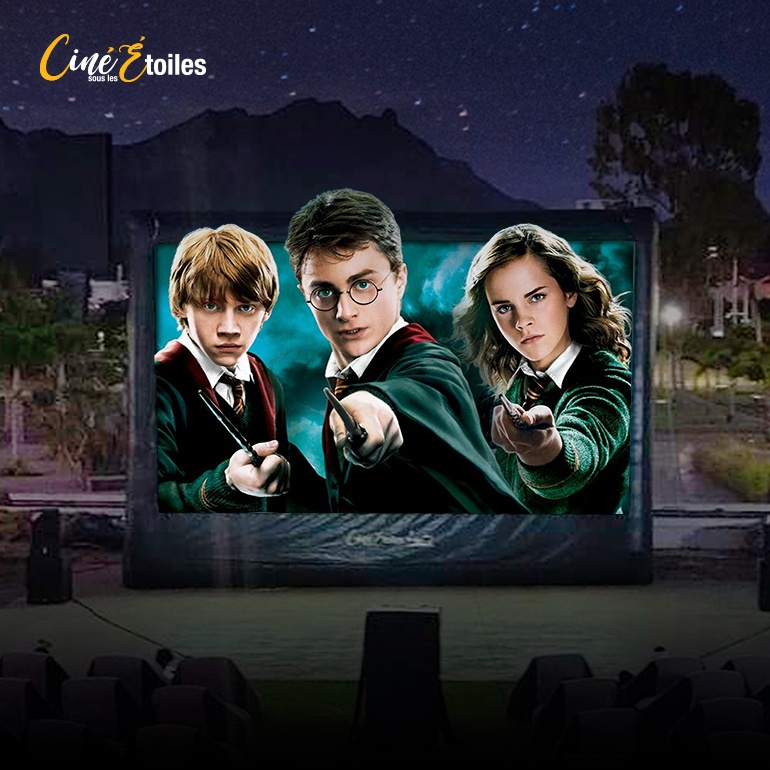 Harry Potter et l'Ordre du Phénix sur PC