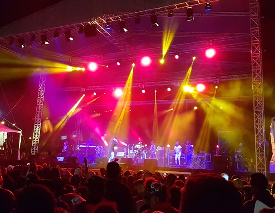 Ferney Nature Lodge – An Immersive Day Experience with Lunch