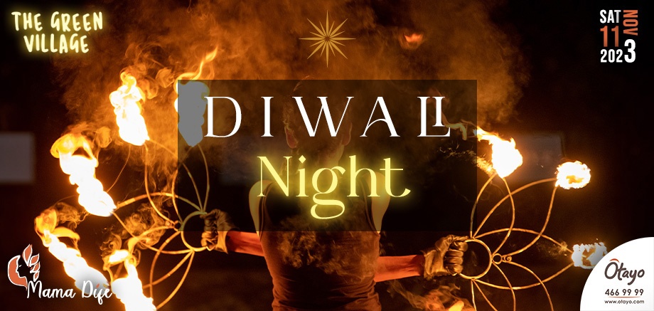 Diwali Night – Fire Performances by Mama Difé slider image