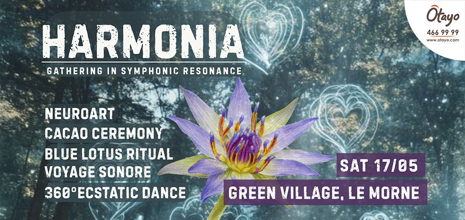 HARMONIA, a Gathering in Symphonic Resonance slider image