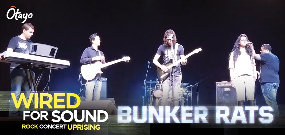 Wired for Sound – Rock Concert Uprising slider image