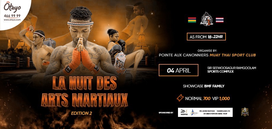 La Nuit Des Arts Martiaux EDITION 2 slider image